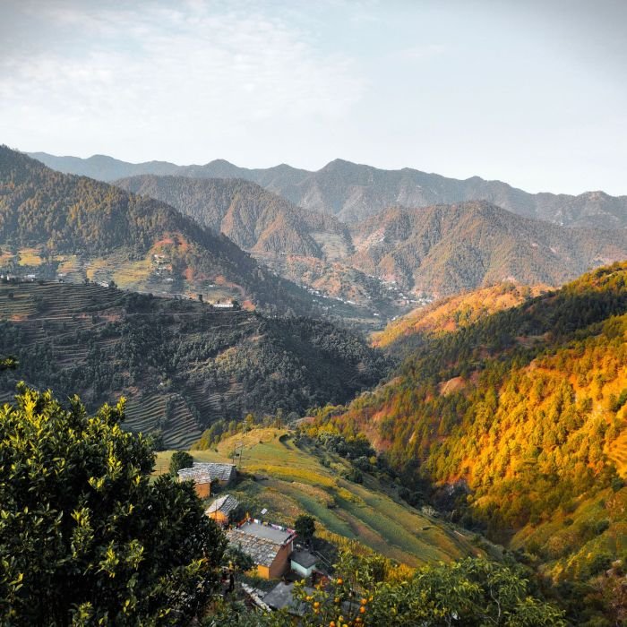 THE HIMALAYAN PAUSE